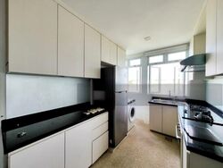 Tembeling Mansions (D15), Apartment #461319181
